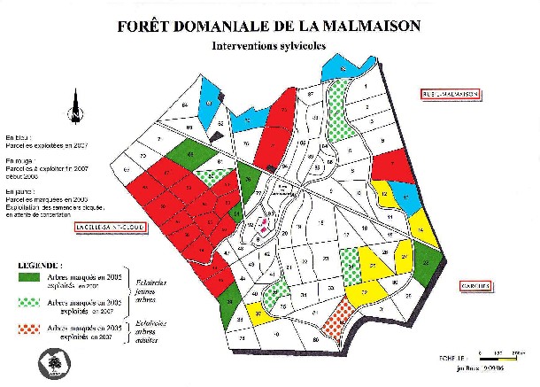 Etat des coupes en 2007 - 86.7 ko Etat des coupes en 2007 - 86.7 ko